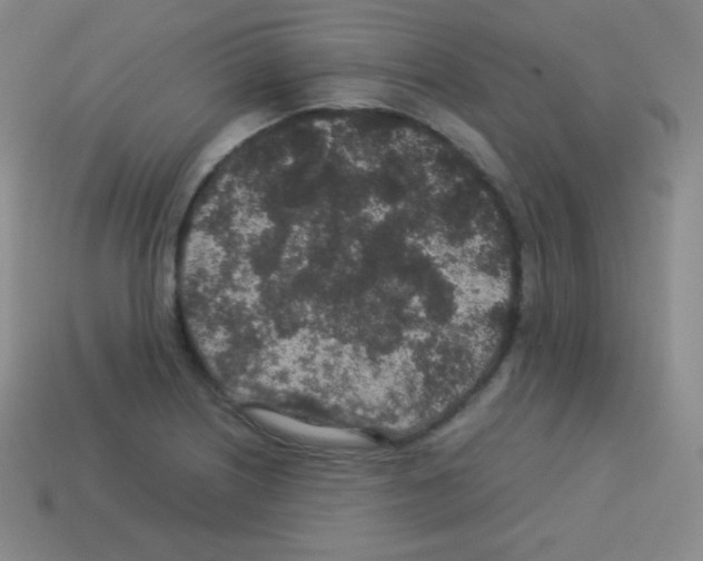 X0000113041226200910081204
