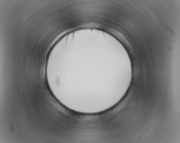 X0000113041228200910081204