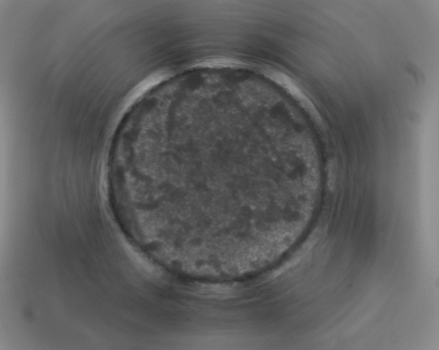 X0000113041229200910081204