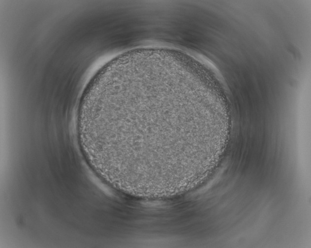 X0000113041231200910081204