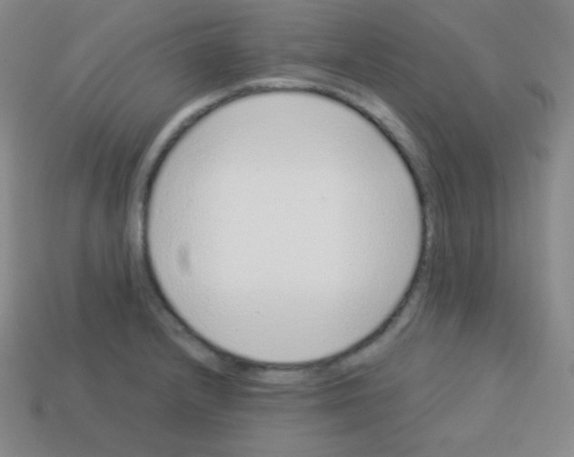 X0000113041232200910081204