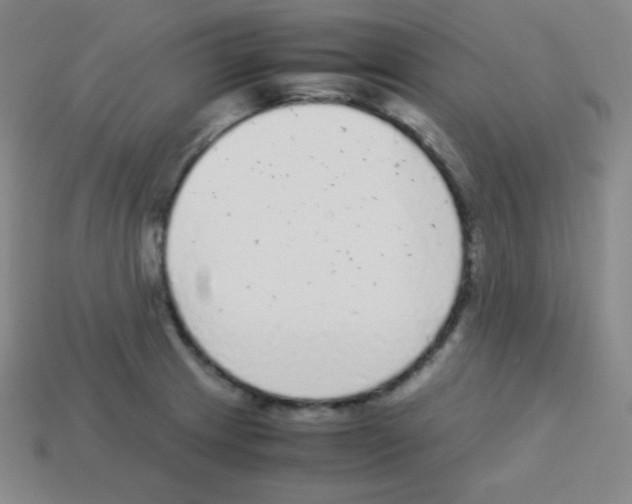 X0000113041233200910081204