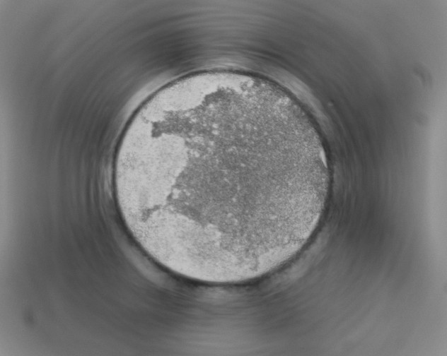 X0000113041234200910081204