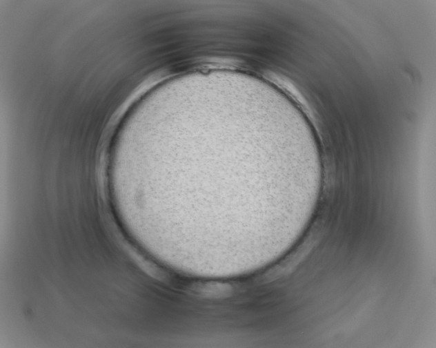 X0000113041235200910081204