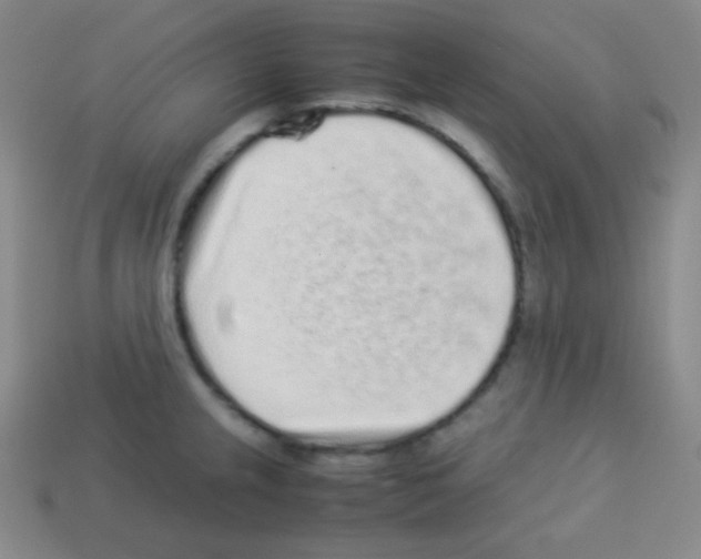 X0000113041237200910081204