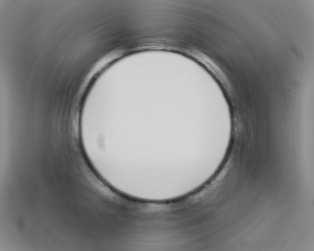 X0000113041238200910081204