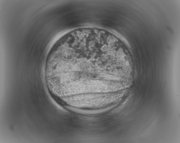 X0000113041239200910081204