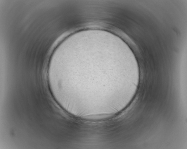 X0000113041240200910081204