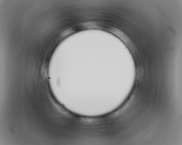 X0000113041241200910081204