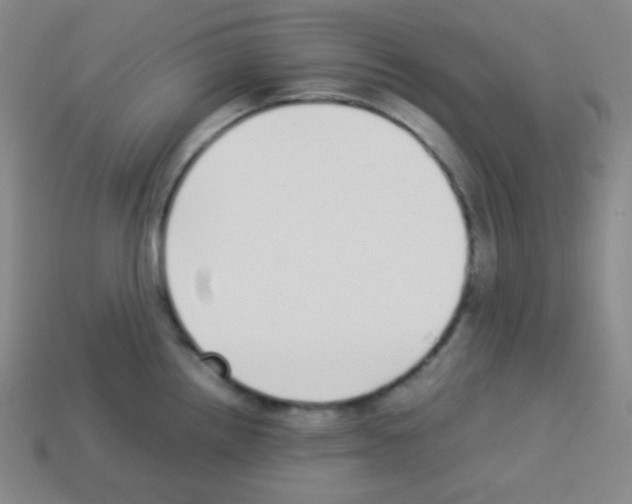 X0000113041242200910081204