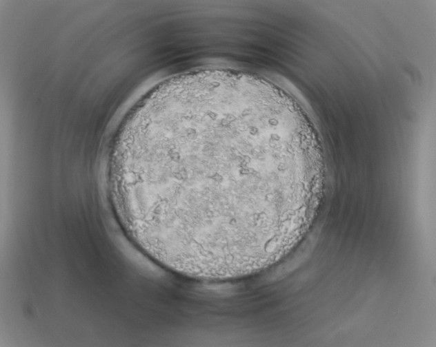 X0000113041243200910081204
