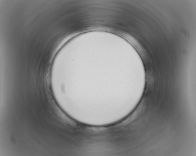 X0000113041244200910081204