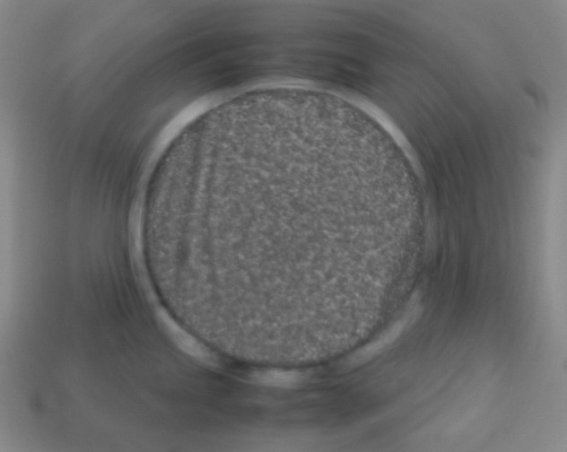 X0000113041245200910081204