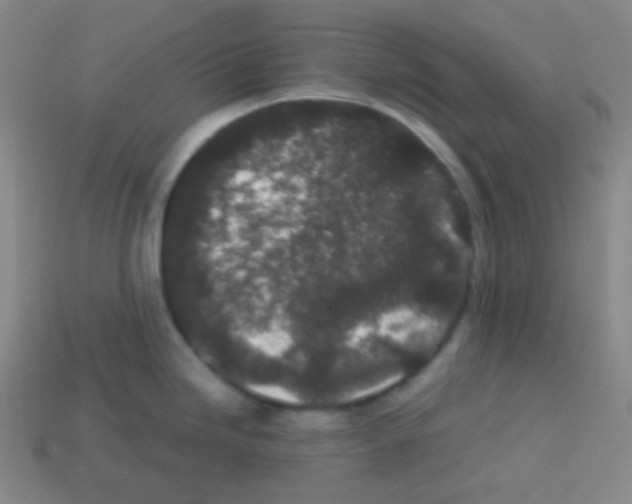 X0000113041246200910081204