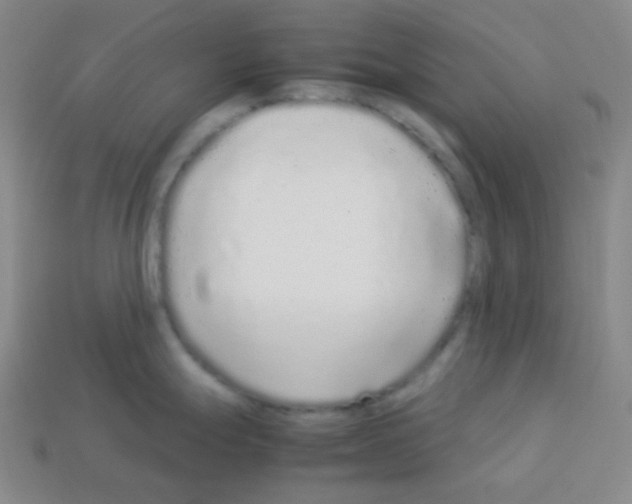 X0000113041247200910081204