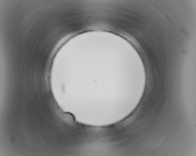 X0000113041248200910081204
