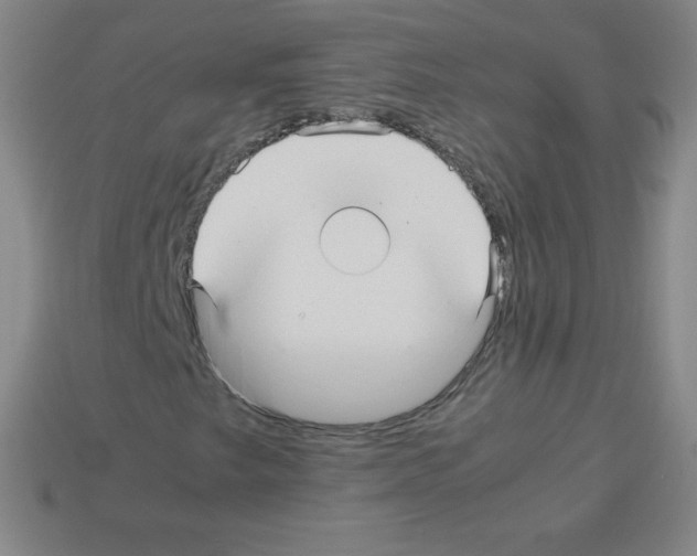 X0000113041249200910081204