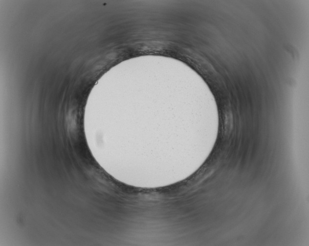 X0000113041250200910081204