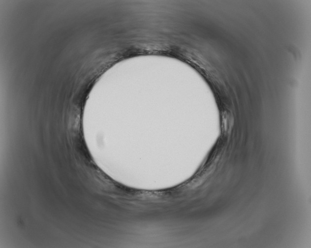 X0000113041251200910081204