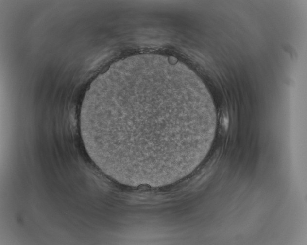 X0000113041252200910081204
