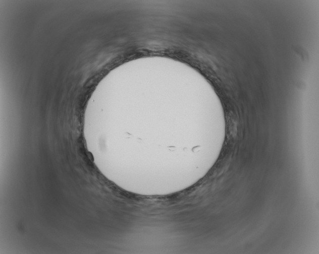 X0000113041253200910081204