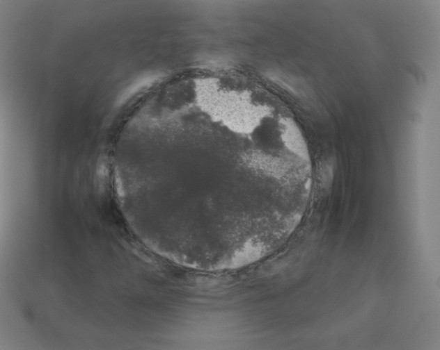 X0000113041254200910081204