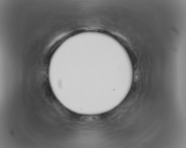 X0000113041255200910081204