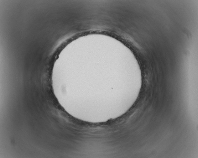 X0000113041256200910081204