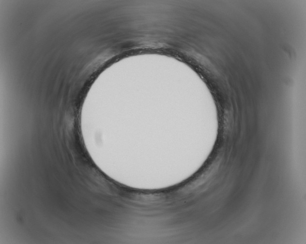 X0000113041257200910081204