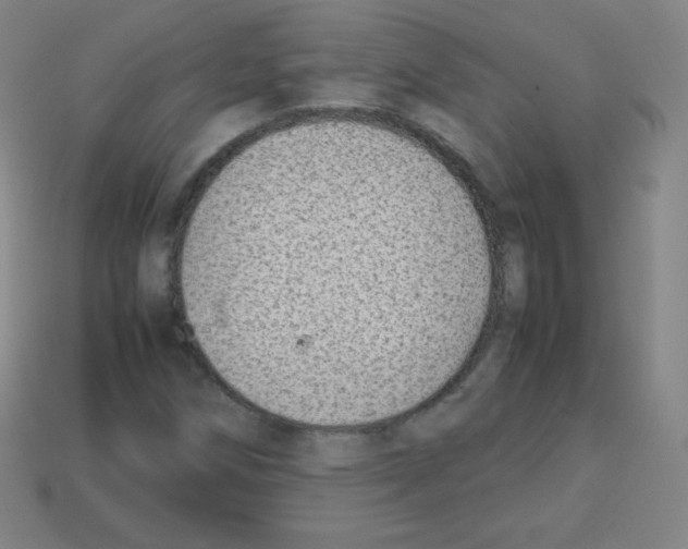 X0000113041258200910081204