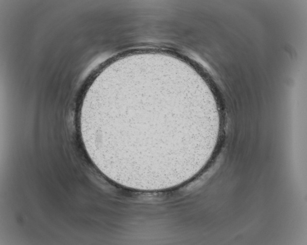 X0000113041259200910081204