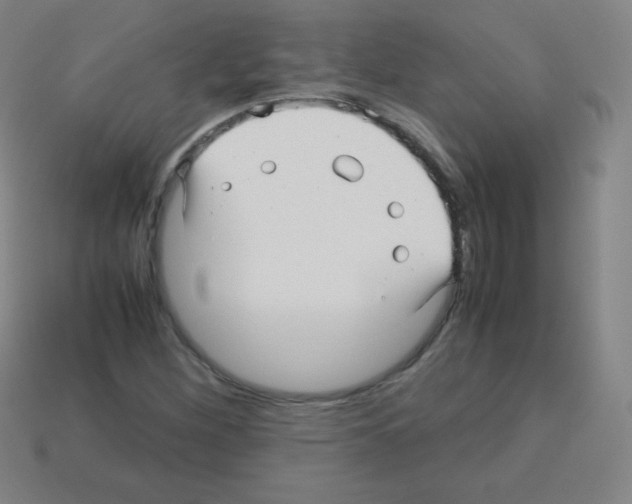 X0000113041260200910081204