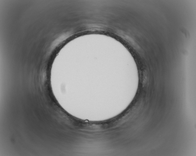 X0000113041261200910081204