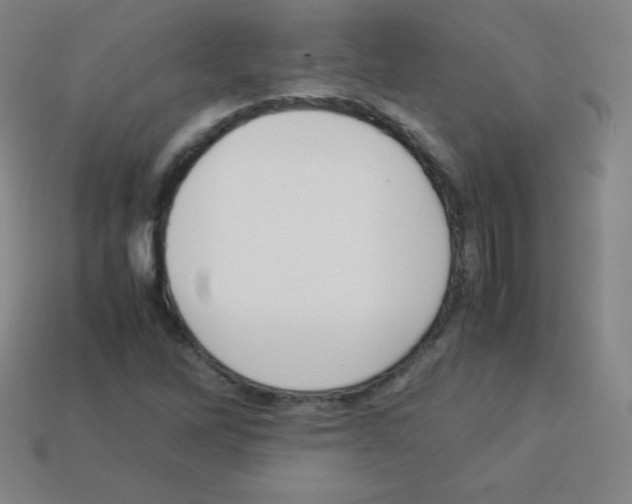 X0000113041262200910081204