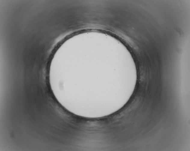 X0000113041264200910081204