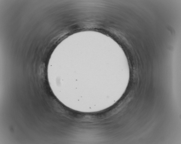 X0000113041265200910081204