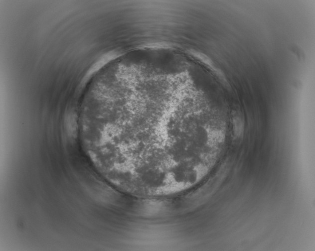 X0000113041266200910081204