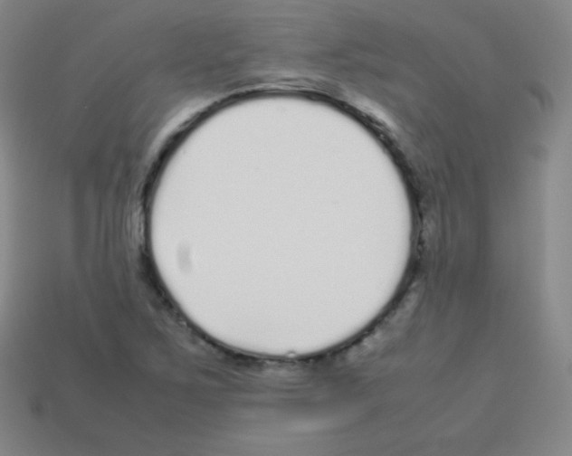 X0000113041267200910081204
