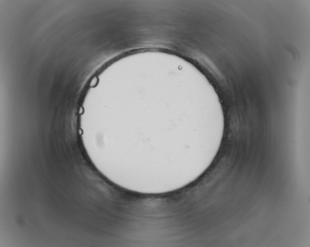X0000113041268200910081204