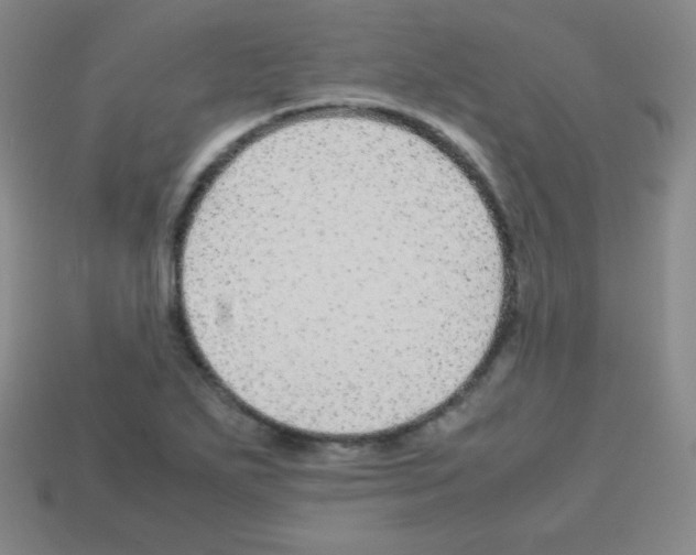 X0000113041271200910081204