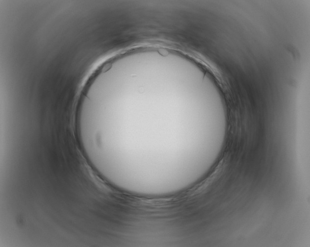 X0000113041272200910081204