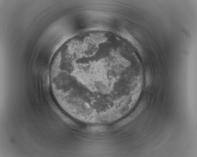 X0000113041274200910081204