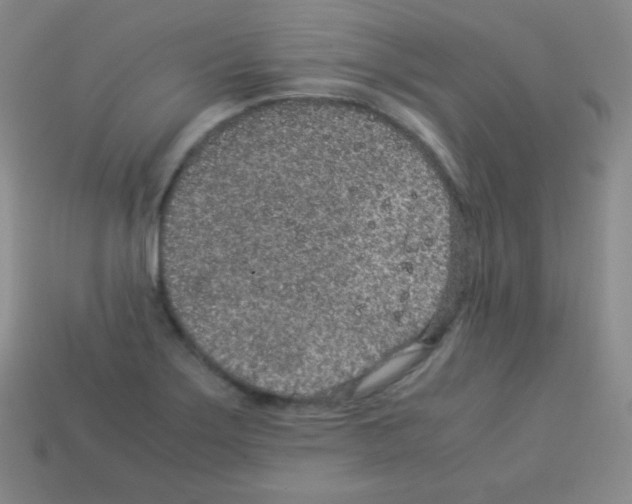 X0000113041275200910081203