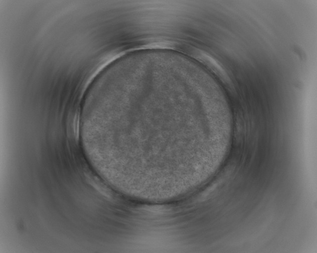 X0000113041276200910081203
