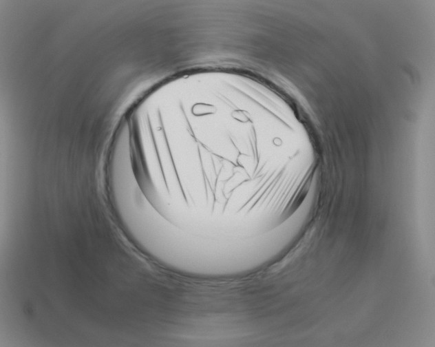 X0000113041277200910081203