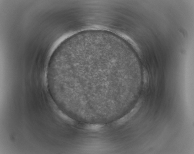 X0000113041278200910081203