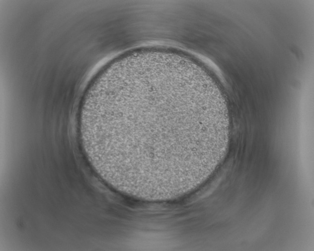 X0000113041279200910081203