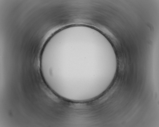 X0000113041280200910081203