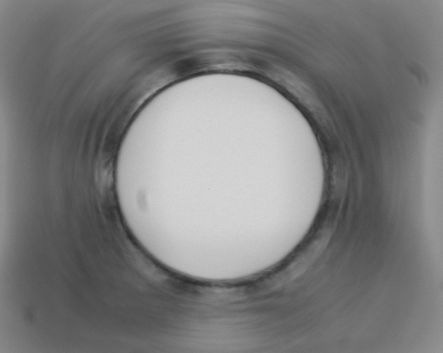 X0000113041281200910081203
