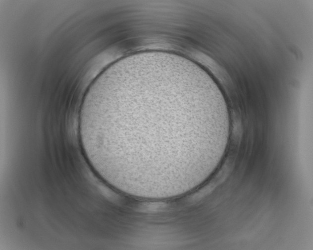 X0000113041282200910081203